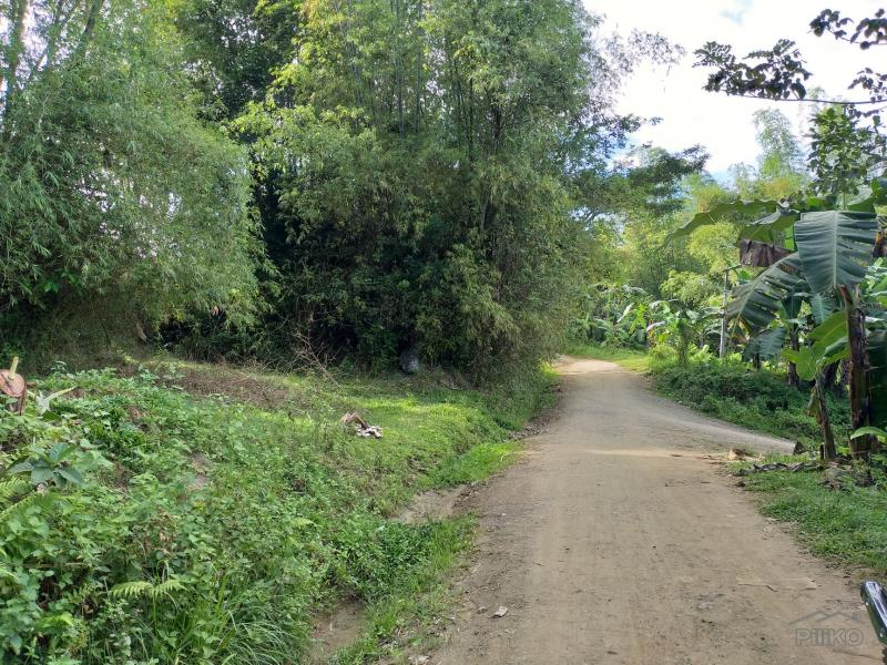 Land and Farm for sale in Cebu City - image 7