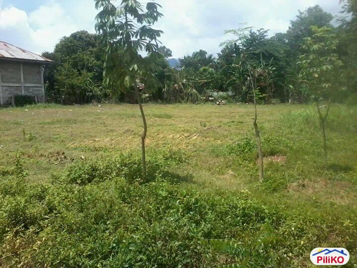 Residential Lot for sale in Minglanilla
