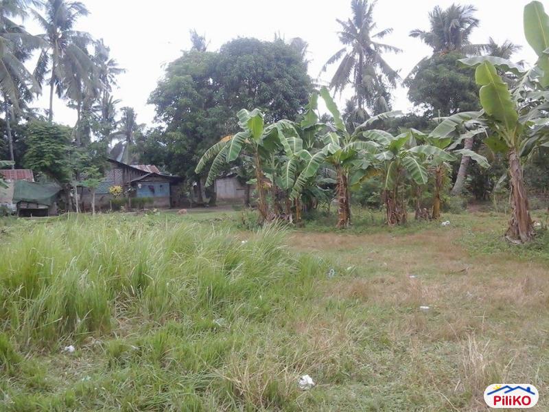 Residential Lot for sale in Minglanilla in Cebu