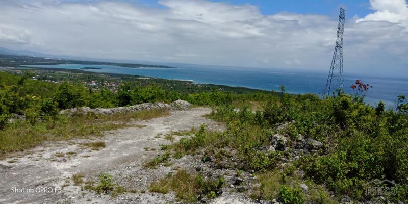 Pictures of Residential Lot for sale in Sibonga