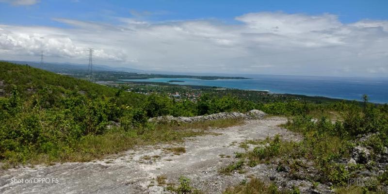 Residential Lot for sale in Sibonga in Philippines