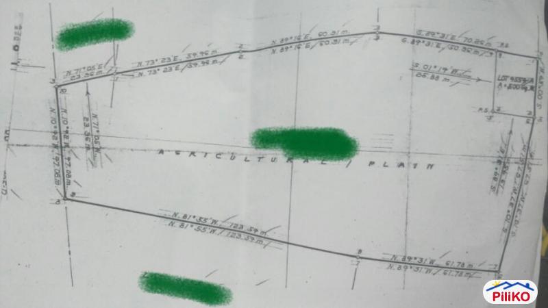 Pictures of Residential Lot for sale in Other Cities