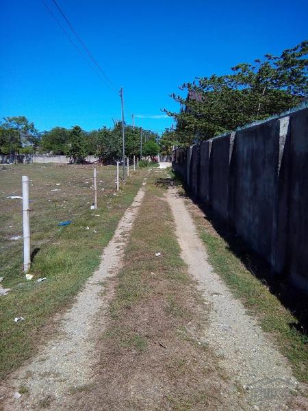 Commercial and Industrial for sale in Lapu Lapu