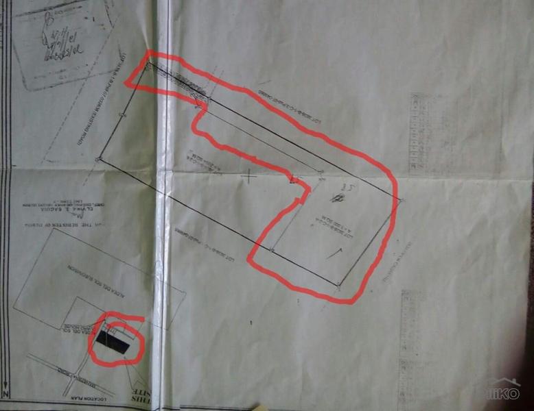 Commercial and Industrial for sale in Lapu Lapu - image 4