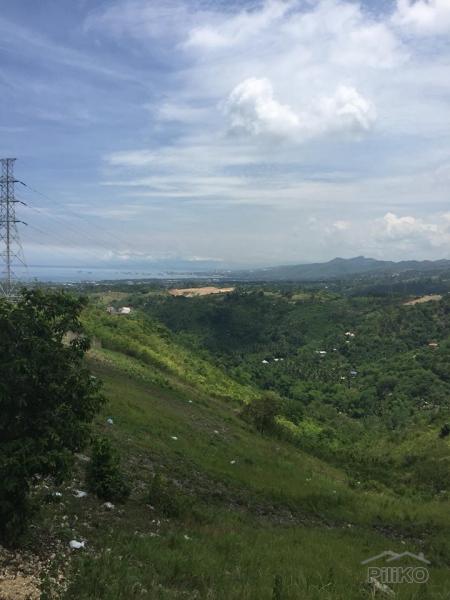 Residential Lot for sale in Talisay - image 4