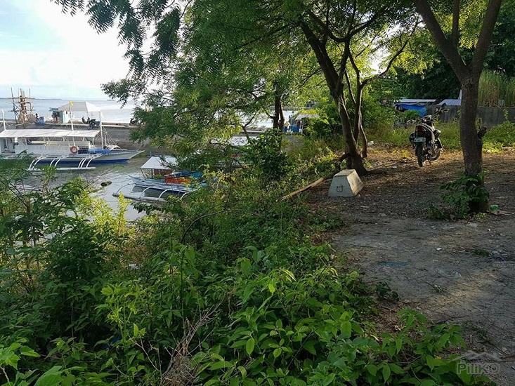 Resort Property for sale in Lapu Lapu - image 2