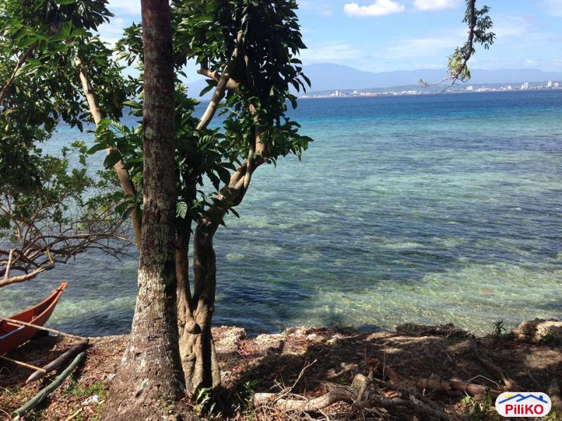 Residential Lot for sale in Lazi - image 5