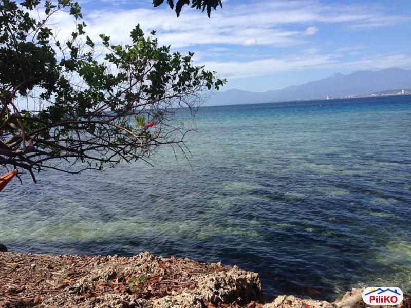 Residential Lot for sale in Lazi in Siquijor - image