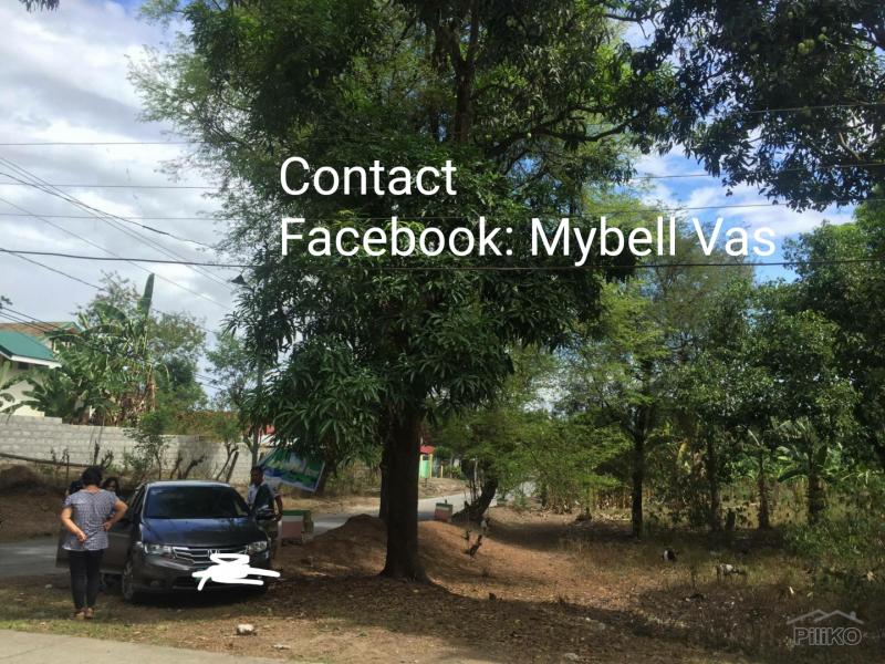 Picture of Land and Farm for sale in Magalang