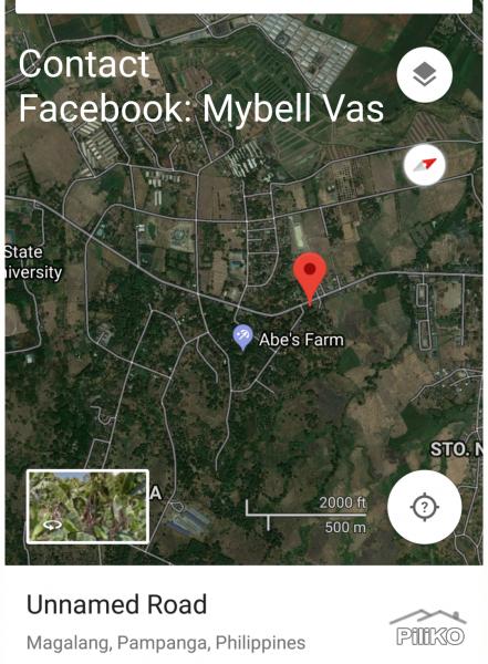 Land and Farm for sale in Magalang - image 4