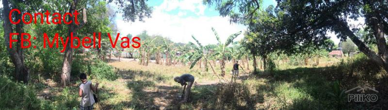 Land and Farm for sale in Magalang - image 5