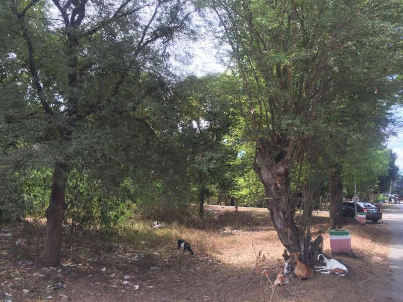 Land and Farm for sale in Magalang - image 6
