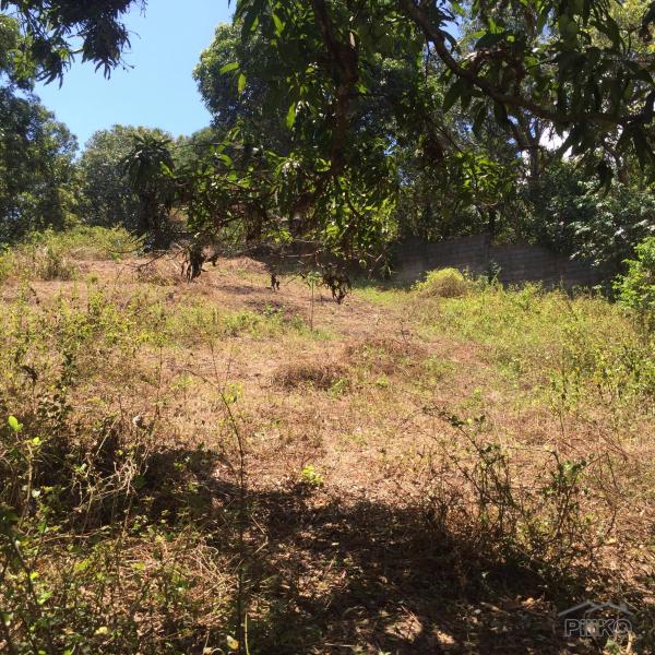 Land and Farm for sale in Magalang in Pampanga - image