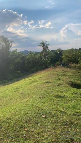 Land and Farm for sale in Taysan