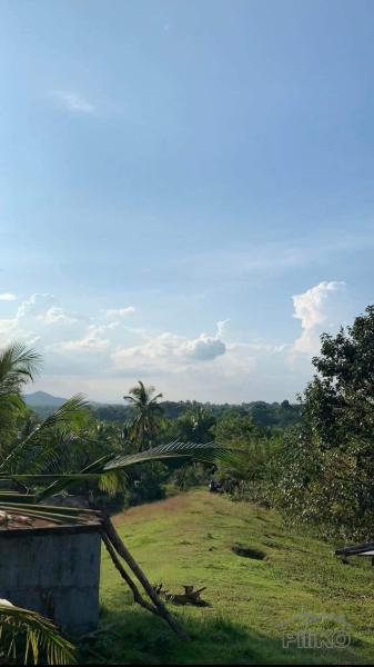 Land and Farm for sale in Taysan in Batangas