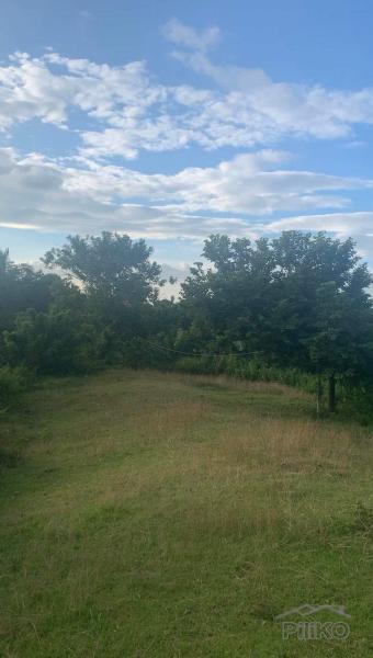 Land and Farm for sale in Taysan in Philippines