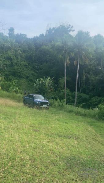 Picture of Land and Farm for sale in Taysan in Batangas
