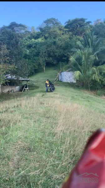 Land and Farm for sale in Taysan in Batangas - image