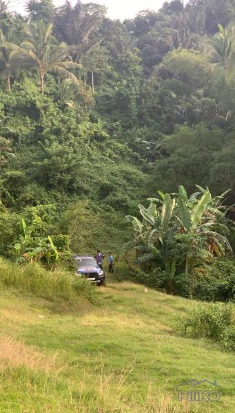 Land and Farm for sale in Taysan in Philippines - image