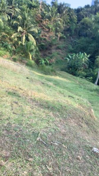 Land and Farm for sale in Taysan - image 9