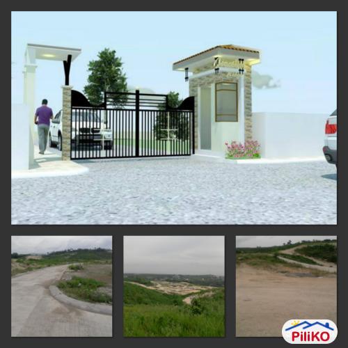 Pictures of Agricultural Lot for sale in Consolacion