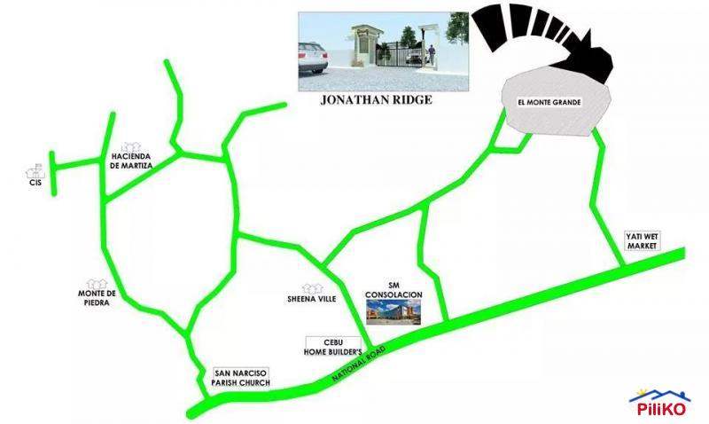 Agricultural Lot for sale in Consolacion - image 2