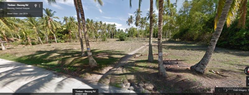 Picture of Agricultural Lot for sale in Bacong