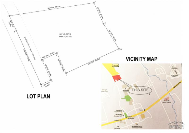 Commercial Lot for sale in Minglanilla