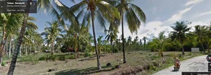 Agricultural Lot for sale in Bacong - image 3