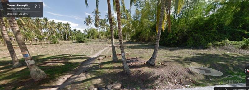 Agricultural Lot for sale in Bacong - image 4