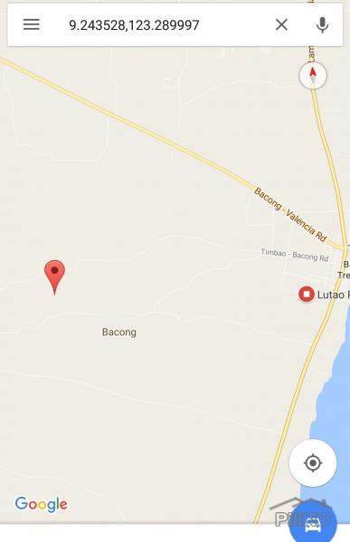 Agricultural Lot for sale in Bacong in Negros Oriental - image