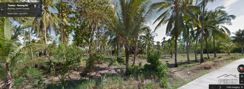 Pictures of Agricultural Lot for sale in Bacong