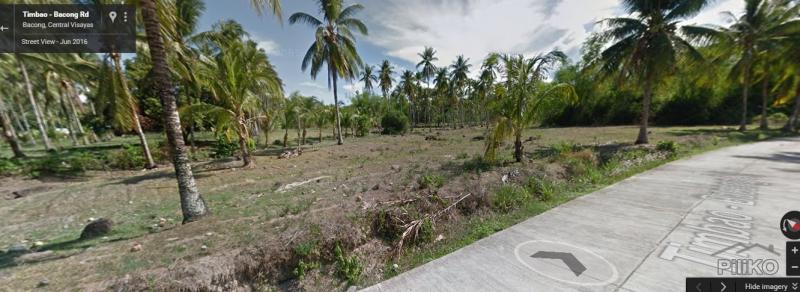 Agricultural Lot for sale in Bacong - image 2
