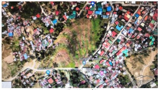 Commercial Lot for sale in Consolacion - image 2