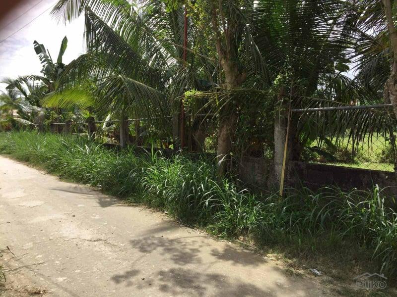 Picture of Residential Lot for sale in Carcar