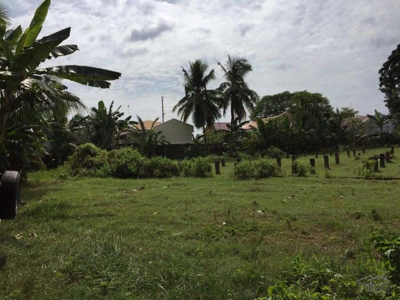 Residential Lot for sale in Carcar - image 3