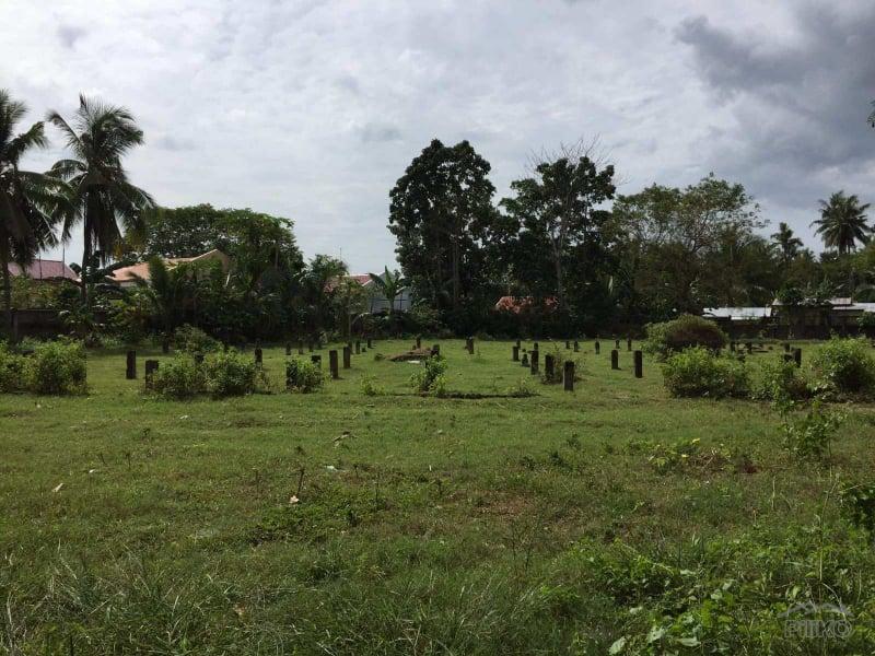Residential Lot for sale in Carcar in Philippines