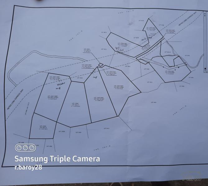 Residential Lot for sale in Naga - image 4