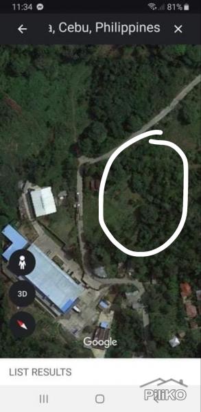 Land and Farm for sale in Naga - image 2