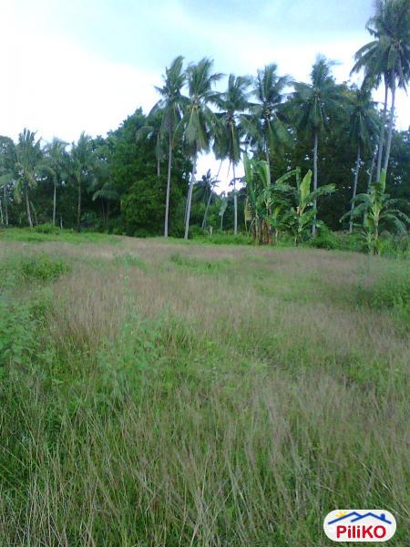 Picture of Residential Lot for sale in Other Cities