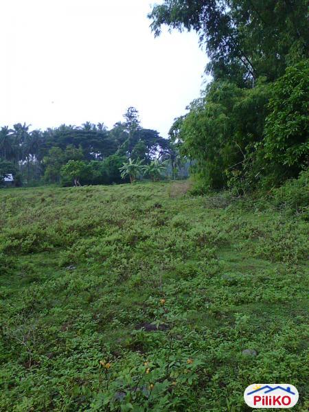 Residential Lot for sale in Other Cities - image 2