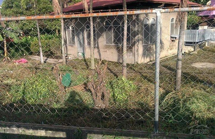 Commercial Lot for sale in Talisay - image 2
