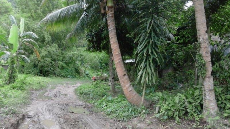 Picture of Residential Lot for sale in Minglanilla