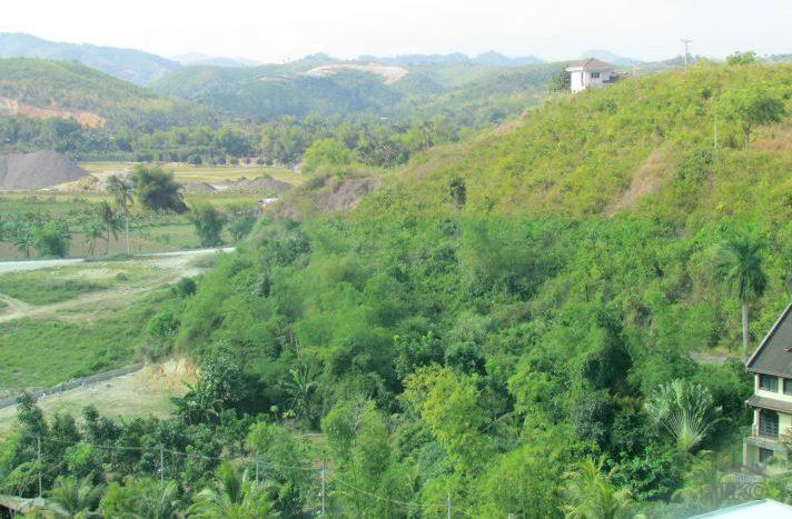 Pictures of Residential Lot for sale in Consolacion