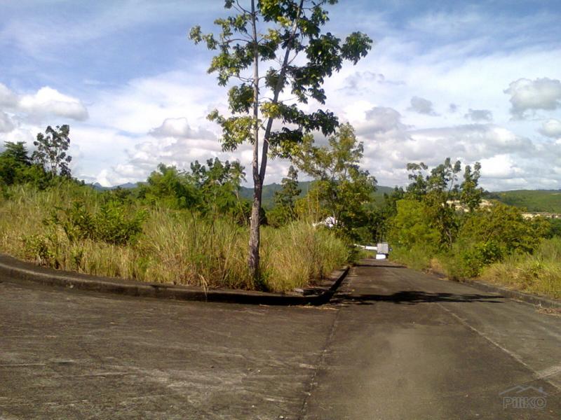 Residential Lot for sale in Consolacion - image 3