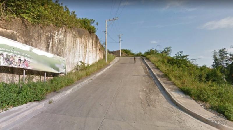 Residential Lot for sale in Consolacion - image 2