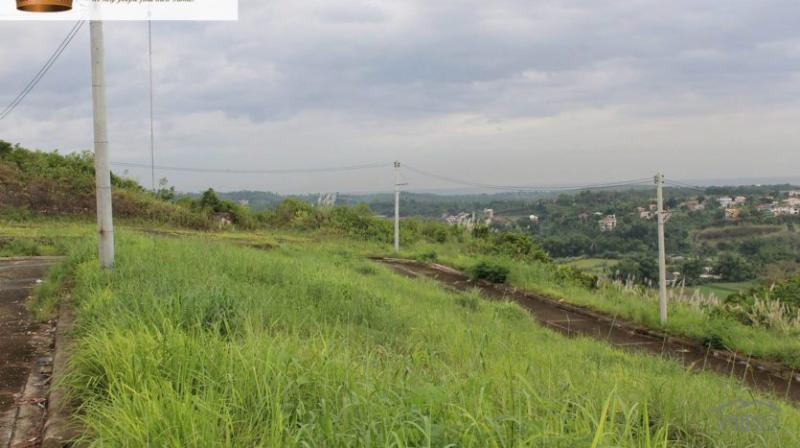 Residential Lot for sale in Consolacion - image 2