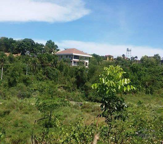 Picture of Residential Lot for sale in Consolacion