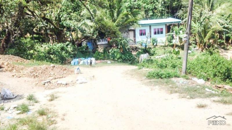 Residential Lot for sale in Consolacion - image 2