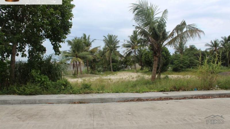 Picture of Residential Lot for sale in Lapu Lapu
